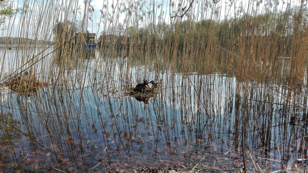 Stara Kamienica Centrum Mragowo Bagian luar foto